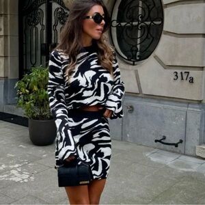 H&M Black and White Zebra Print Skirt Set